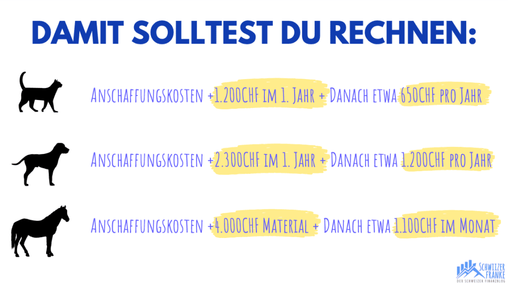 Wie viel kostet ein Hund / Pferd / Katze? Haustierkosten analysiert! 1
