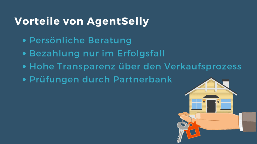 Agentselly review real estate platforms switzerland real estate platform switzerland selling a flat without an agent